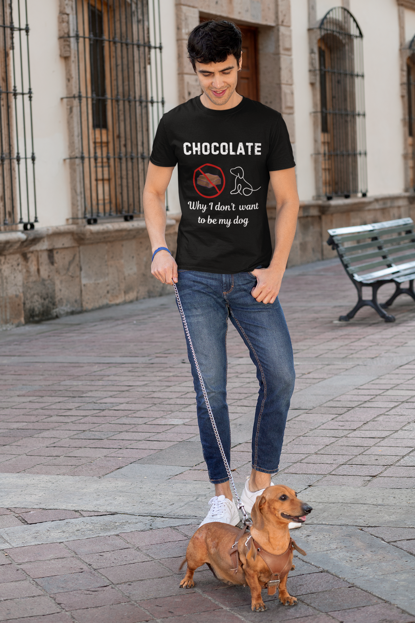 Chocolate, why I don't want to be my dog